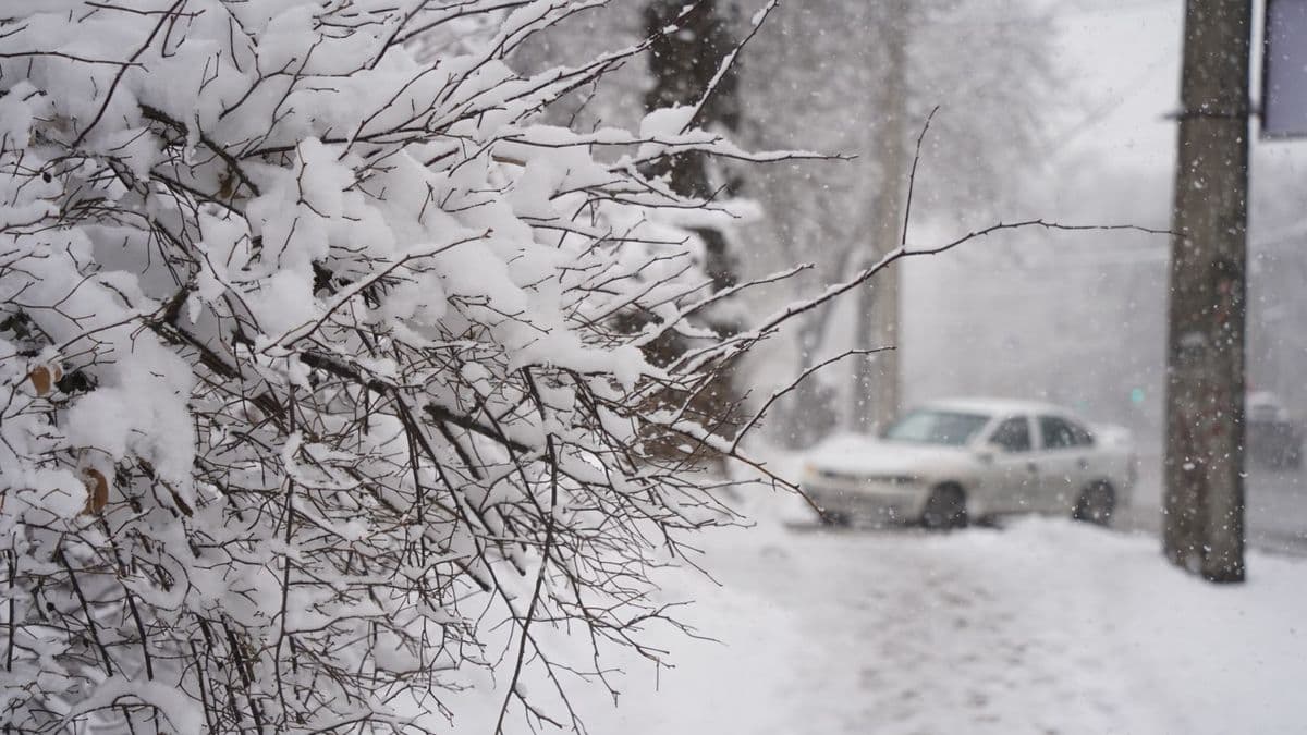 Дала елінің табиғаты күшін көрсетеді: қар мен боранға дайын болыңыз