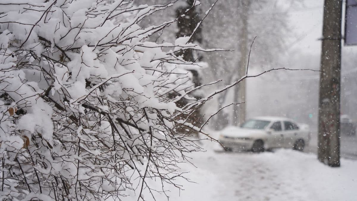 Дала елінде табиғат күші: ертең қатты боран күтіледі