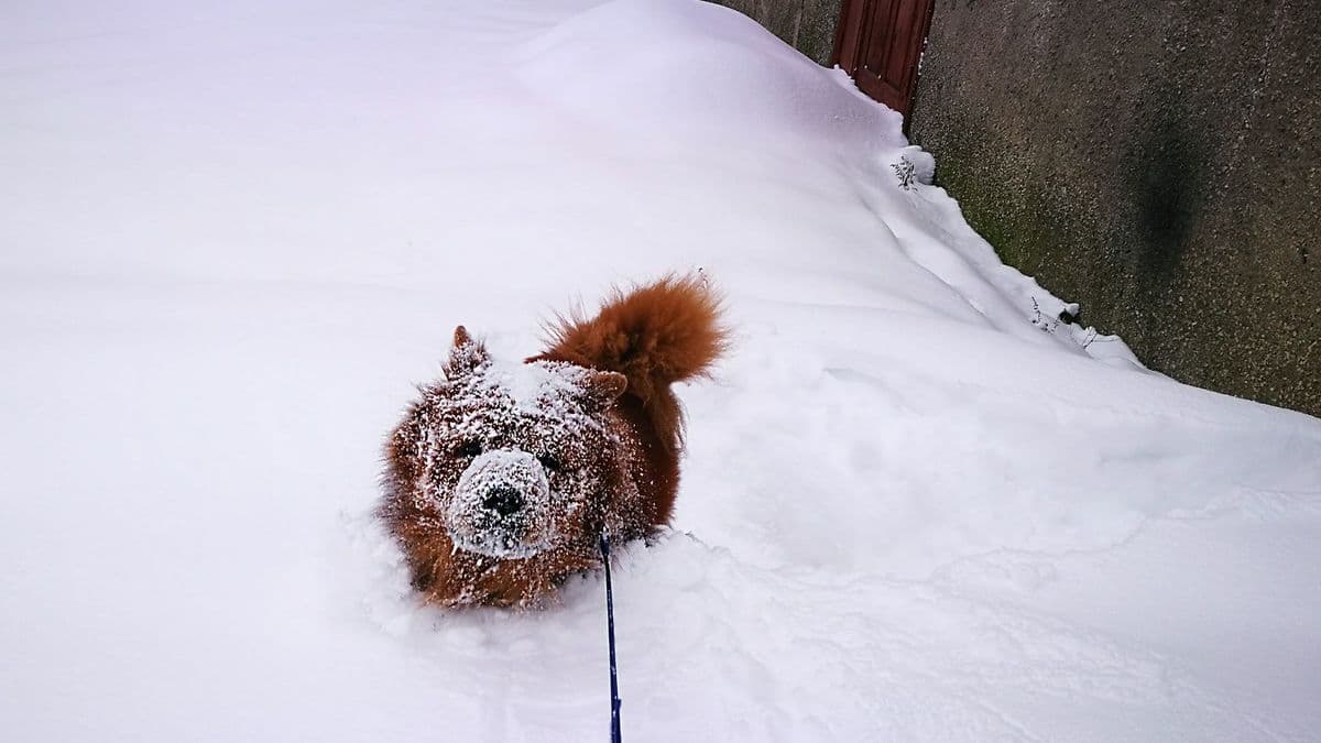 Қазақстанды қатал дауыл қарсы алады