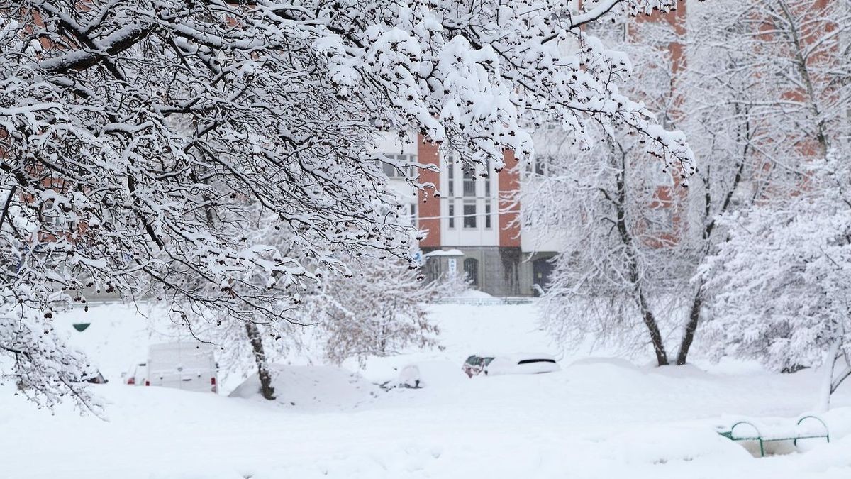 Қазанның алғашқы қарлы күні: даланың беті мұз болады